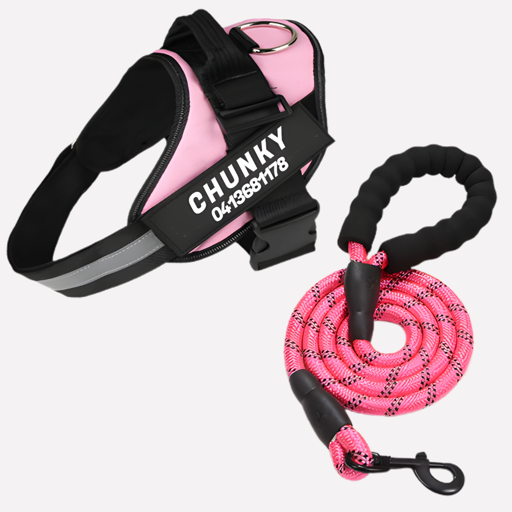 Harnais pour chien anti-traction personnalisé