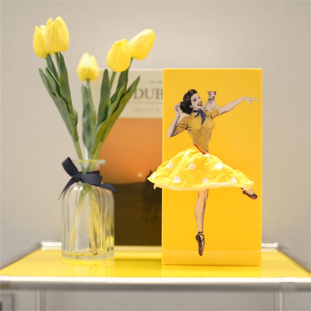 TissuChic - Distributeur de Mouchoirs Vintage avec Effet Flottant Amusant