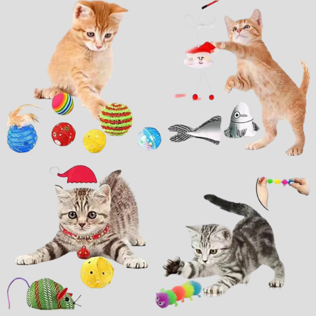 Calendrier de l'Avent interactif pour chat avec jouets
