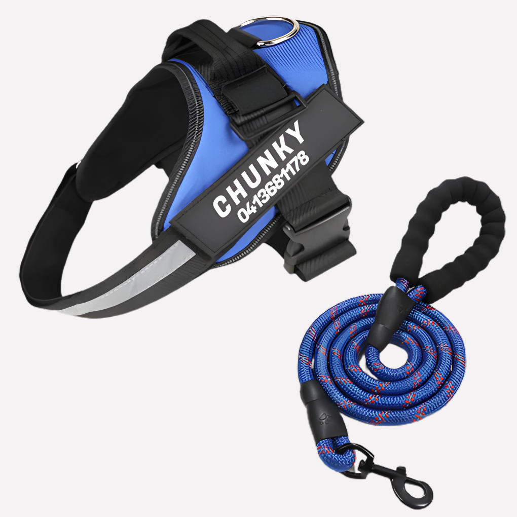 Harnais pour chien anti-traction personnalisé