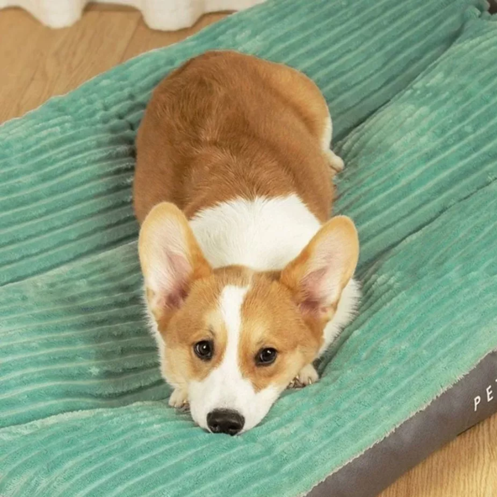 Coussin pour chien pour le repos et la détente