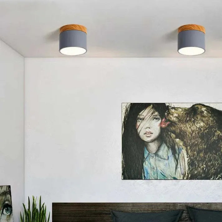 LumiStyle - Éclairage Plafonnier Cylindrique LED pour Couloir Modern