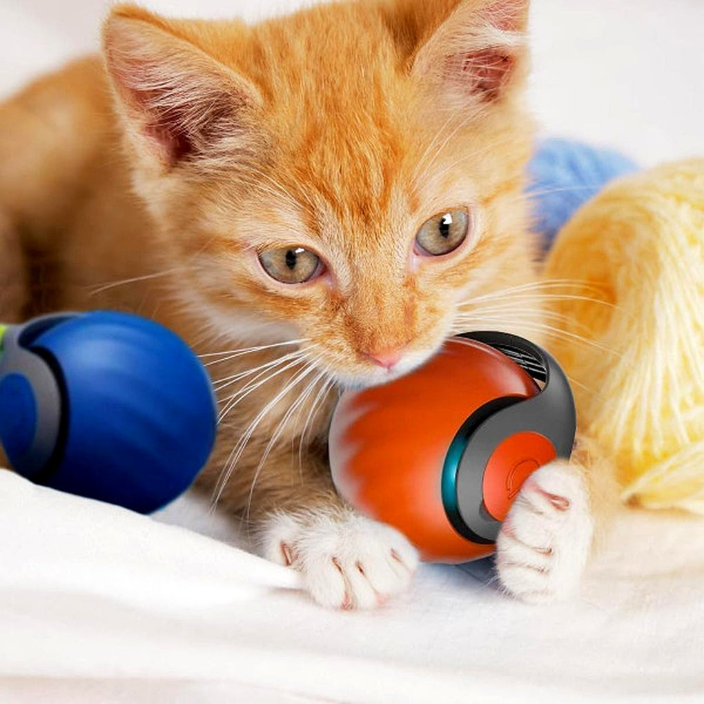 Jouet interactif pour chat – Sphère de jeu roulante et mobile