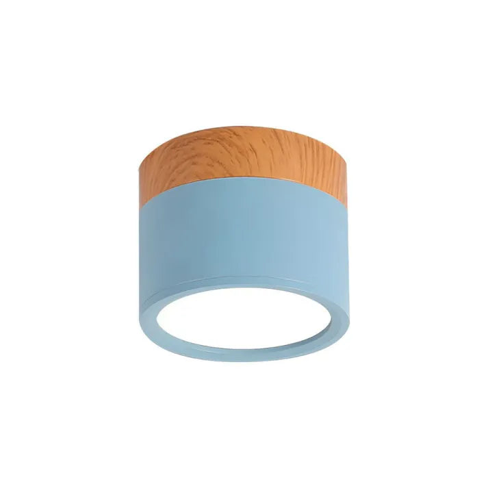 LumiZénith - Plafonnier LED Cylindrique pour Couloir Modern et Énergétiquement Efficace