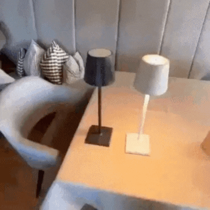 LumiFire - Lampe à Dimmable sans Fil pour Intérieur et Extérieur