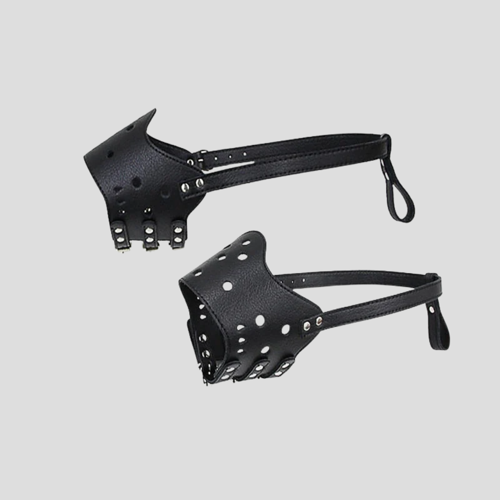 Muselière pour chien conçue pour la sécurité des animaux de compagnie