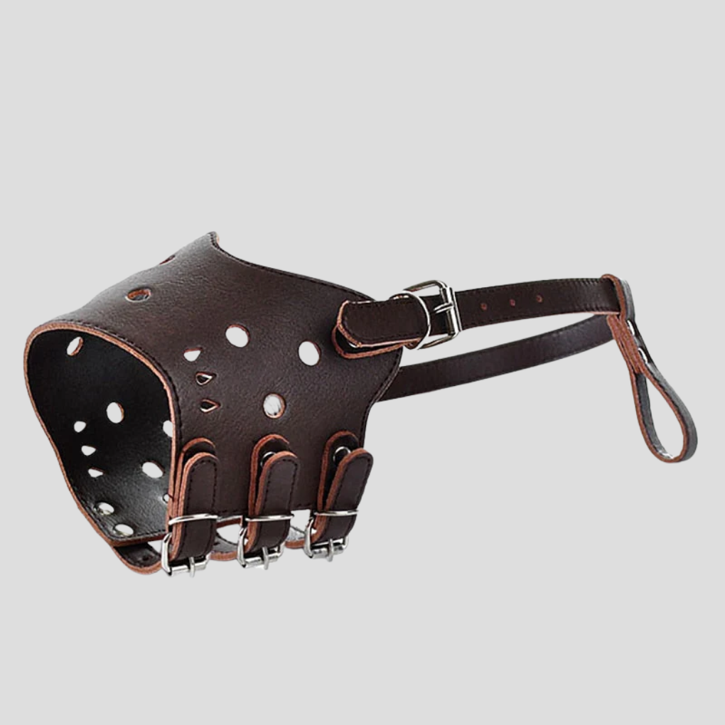 Muselière pour chien conçue pour la sécurité des animaux de compagnie