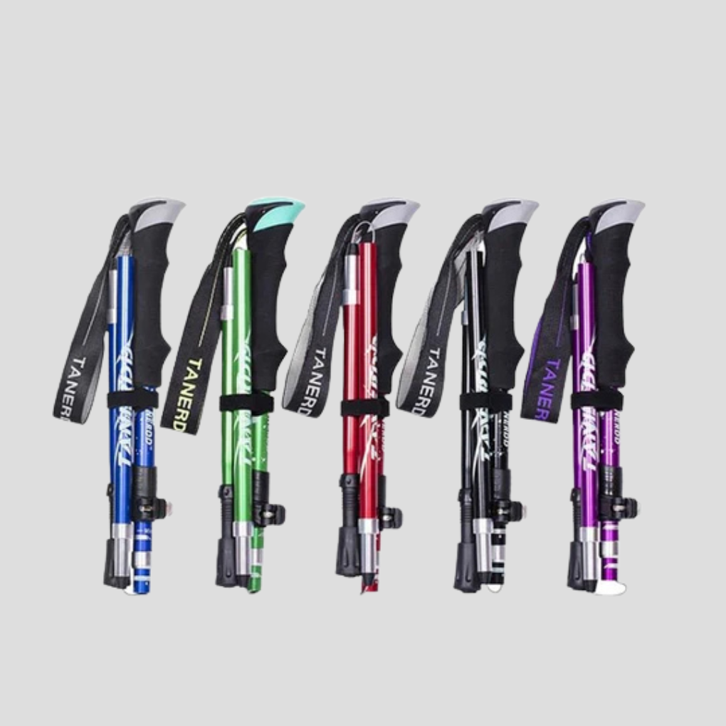 Bâtons de randonnée réglables TrailMaster