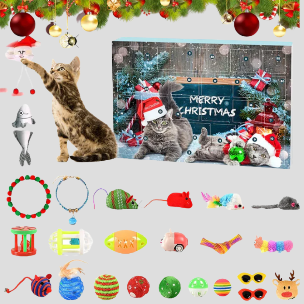 Calendrier de l'Avent interactif pour chat avec jouets