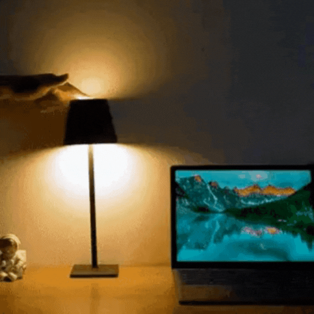 LumiFire - Lampe à Dimmable sans Fil pour Intérieur et Extérieur