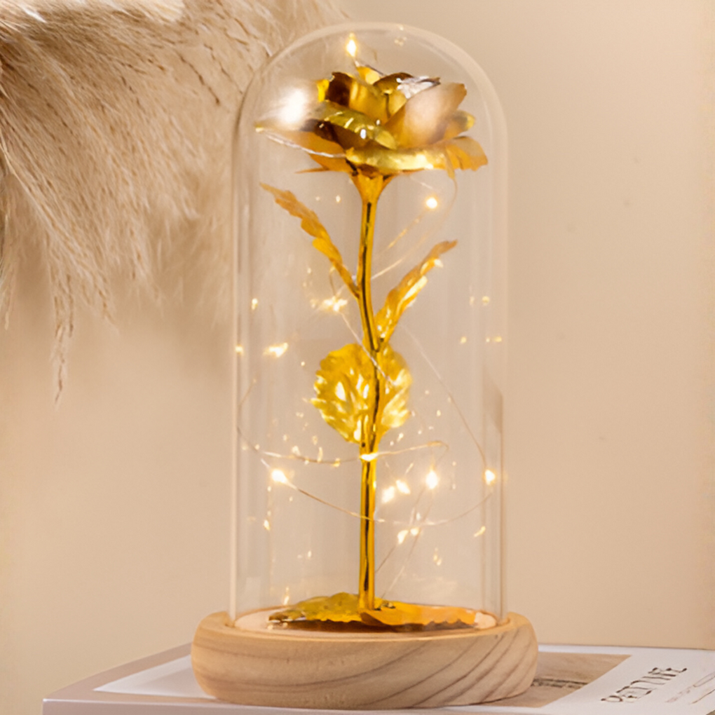 Rose éternelle avec lumière LED sous dôme en verre