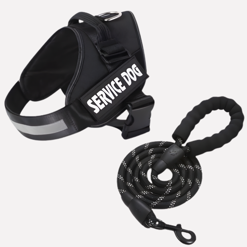 Harnais pour chien anti-traction personnalisé