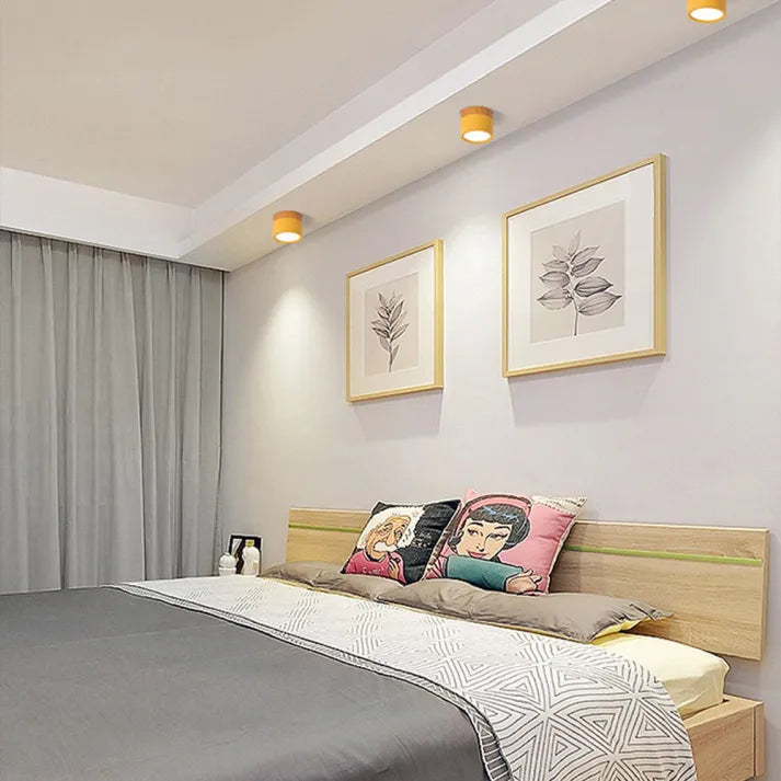 LumiZénith - Plafonnier LED Cylindrique pour Couloir Modern et Énergétiquement Efficace