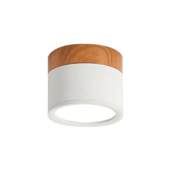 LumiZénith - Plafonnier LED Cylindrique pour Couloir Modern et Énergétiquement Efficace