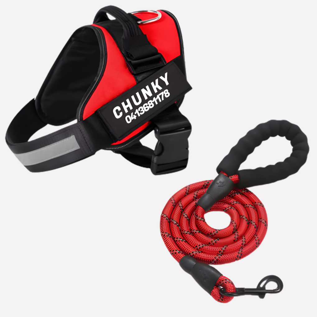 Harnais pour chien anti-traction personnalisé