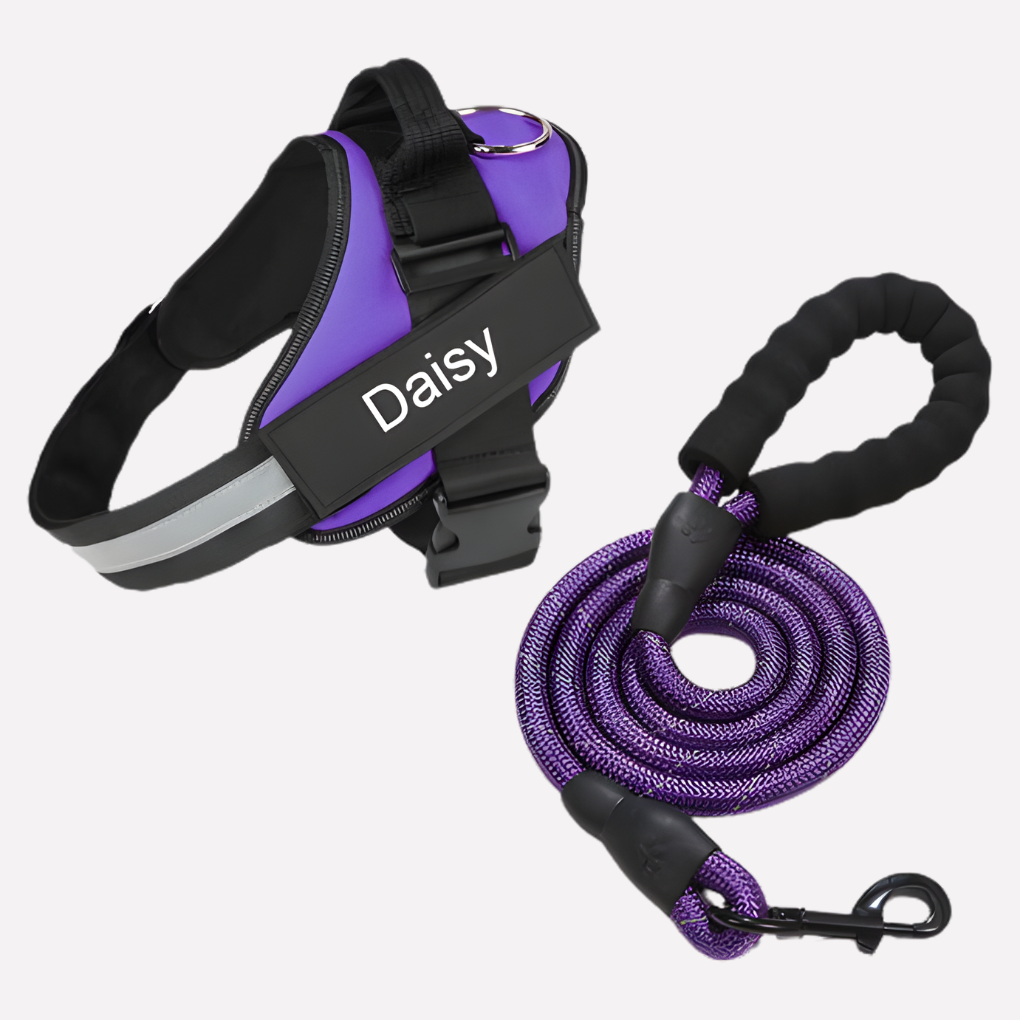Harnais pour chien anti-traction personnalisé