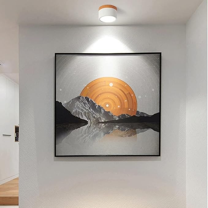 LumiZénith - Plafonnier LED Cylindrique pour Couloir Modern et Énergétiquement Efficace