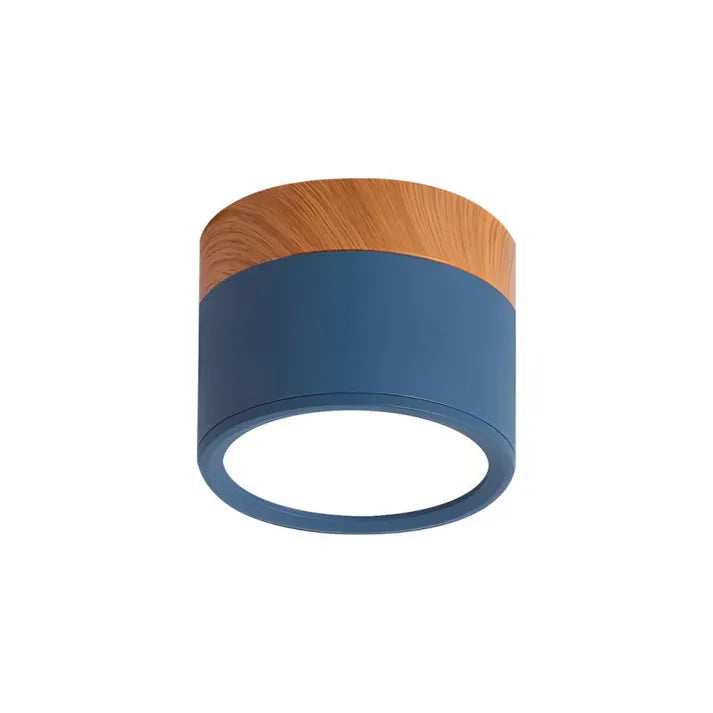 LumiZénith - Plafonnier LED Cylindrique pour Couloir Modern et Énergétiquement Efficace