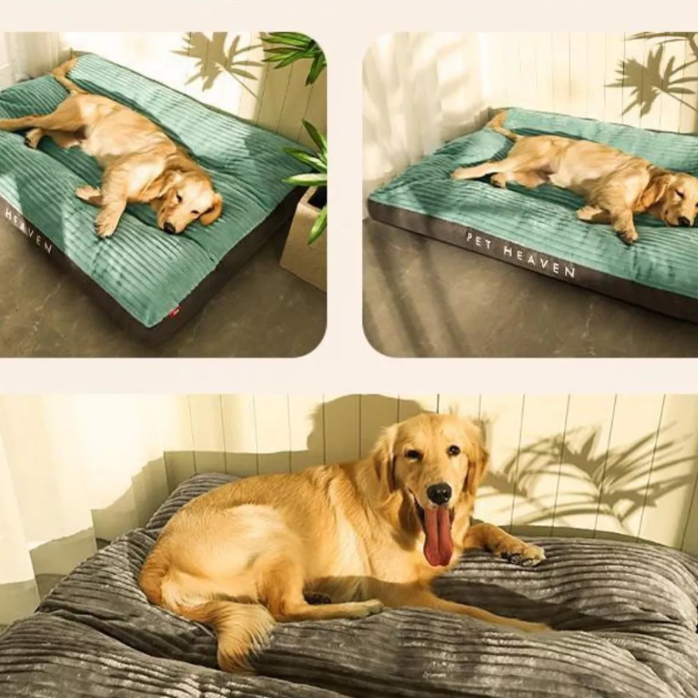 Coussin pour chien pour le repos et la détente