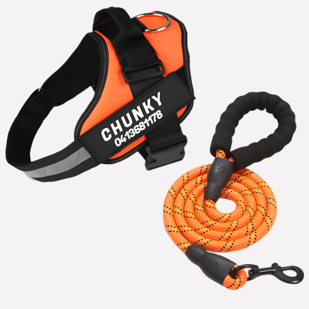 Harnais pour chien anti-traction personnalisé