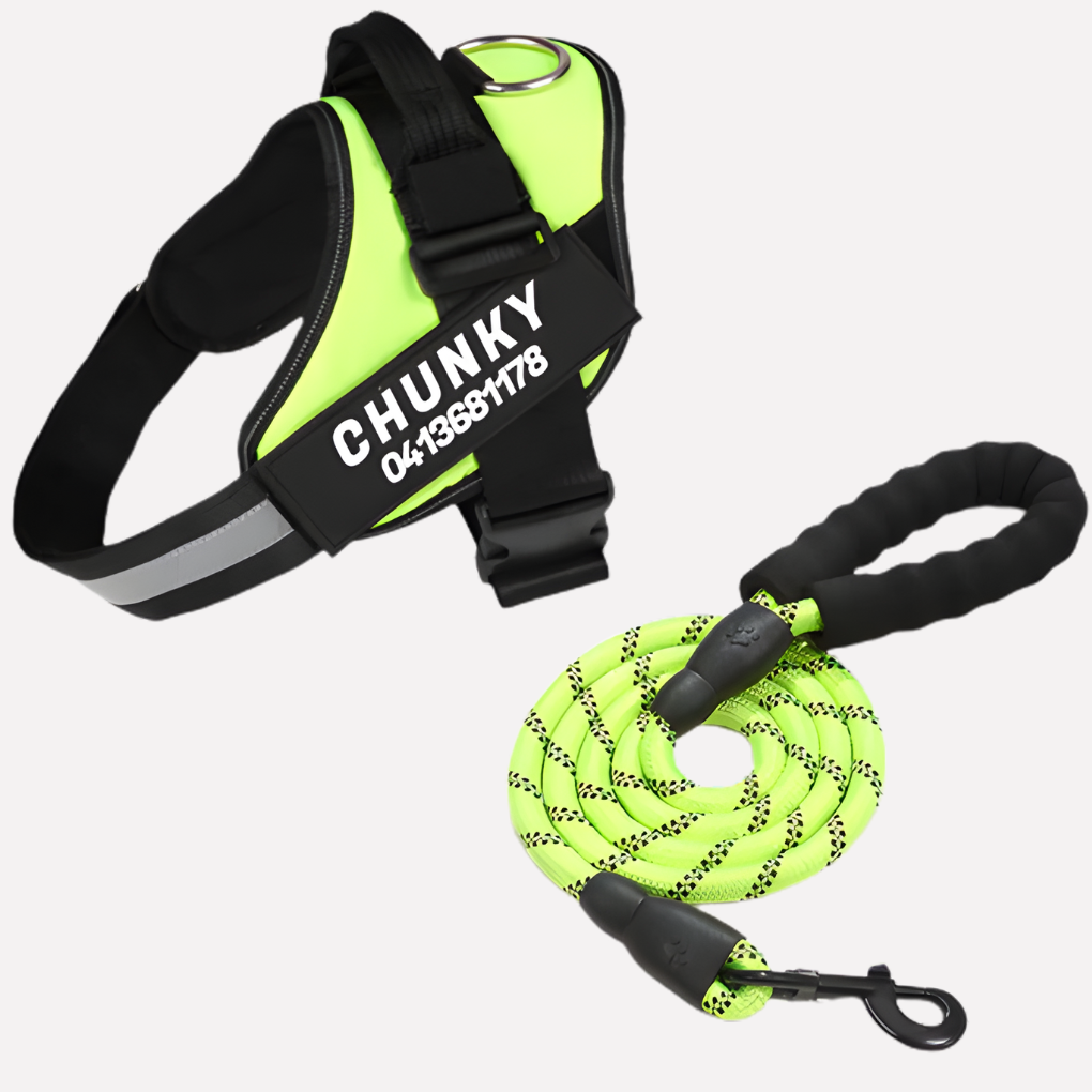 Harnais pour chien anti-traction personnalisé