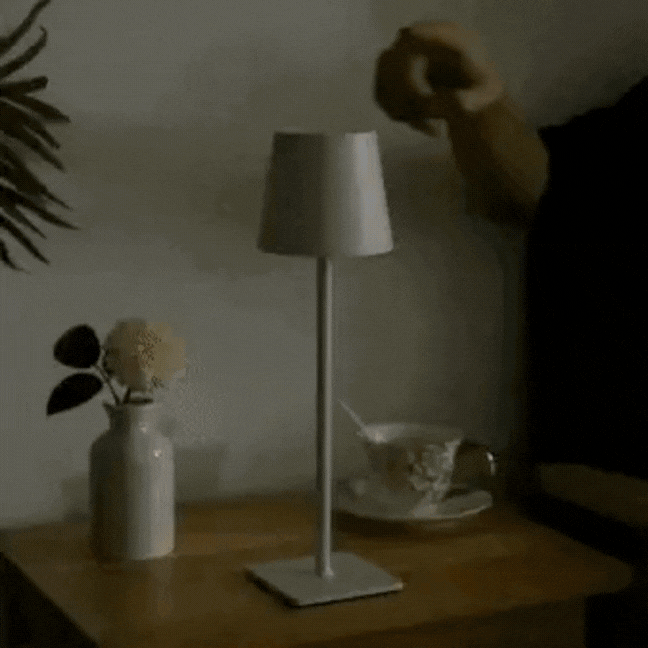 LumiFire - Lampe à Dimmable sans Fil pour Intérieur et Extérieur