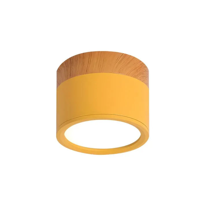 LumiZénith - Plafonnier LED Cylindrique pour Couloir Modern et Énergétiquement Efficace