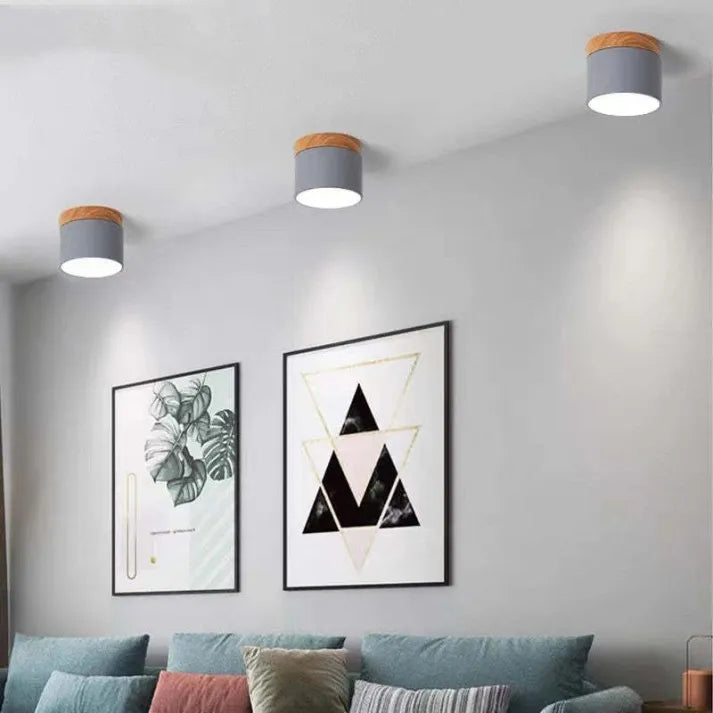 LumiZénith - Plafonnier LED Cylindrique pour Couloir Modern et Énergétiquement Efficace