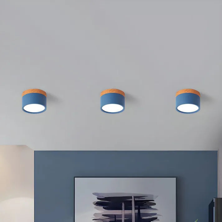 LumiZénith - Plafonnier LED Cylindrique pour Couloir Modern et Énergétiquement Efficace