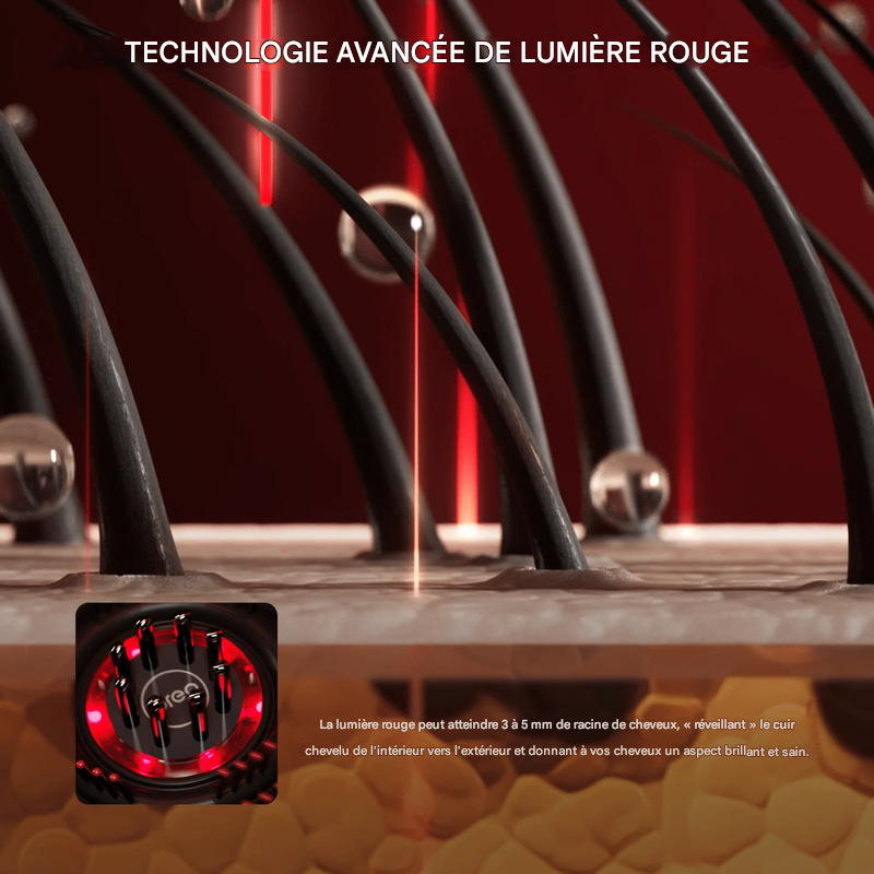 Brosse de massage du cuir chevelu